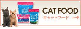 CAT FOOD-キャットフード-